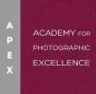 Academy for Photographic Excellence college logo
