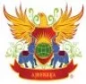 Ajeenkya DY Patil University - NUOVOS, Pune college logo
