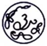 Amar Jyoti Institute of Physiotherapy college logo