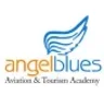 Angelblues Aviation and Tourism Academy, Kochi college logo