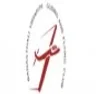 Banasthali Vidyapith Gliding and Flying Club college logo