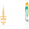 Bharati Vidyapeeth University - Solapur, Solapur college logo