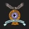 Bharati Vidyapeeth University - Delhi college logo