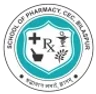 Chouksey Engineering College, Bilaspur logo