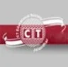 CT Institute of Pharmaceutical Sciences, Jalandhar college logo