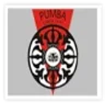 Department of Management Sciences, Pune University (PUMBA) logo