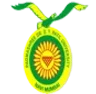 DY Patil University, Navi Mumbai college logo
