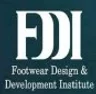 Footwear Design & Development Institute (FDDI), Hyderabad college logo