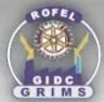 GIDC Rajju Shroff Rofel Institute of Management Studies college logo