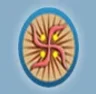 Gurukula College of Engineering for Women, Bhubaneswar college logo