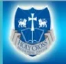 Holy Cross Engineering College college logo