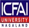 ICFAI University - Nagaland, Dimapur college logo