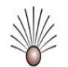 Institute of Hospitality & Management - Banur, Patiala college logo