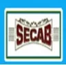 Malik Sandal Institute of Art & Architecture, Bijapur college logo