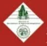 MH Saboo Siddik College of Engineering, Mumbai college logo