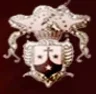 Mount Carmel College of Teacher Education for Women, Kottayam college logo