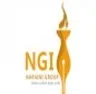 Naraini Group of Institutions, Karnal college logo
