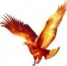 Navjeevan Institute of Management, Nashik college logo