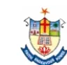 NM Christian College- Martandam, Kanyakumari college logo