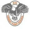 Orient Flight School, Chennai college logo