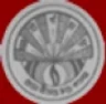 Raja Birendra Chandra College college logo