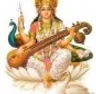 Saraswati College of Engineering - Khargar, Mumbai logo