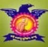 Sharadchandra Pawar College of Pharmacy, Pune college logo