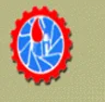 Sri Venkateswara College of Architecture, Hyderabad college logo