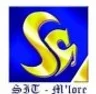 Srinivas Institute of Technology (SIT), Mangalore college logo
