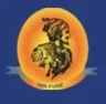 SSMR Institute of Management and Research, Pune college logo