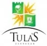 Tulas Institute, Dehradun logo