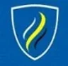 Vaishno Group of Colleges, Kangra college logo