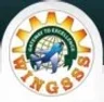 Wingsss College of Aviation and Technology, Pune college logo